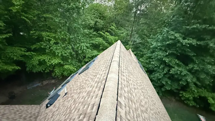 Professional Roofing